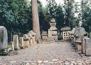 武田信清の墓の写真
