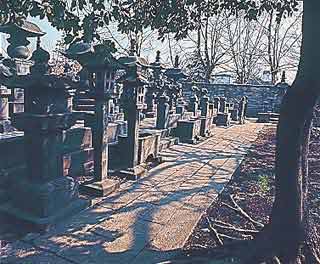 徳川慶頼の墓